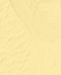 Sunny Bunny Butter Yellow Nail Dip Powder Swatch