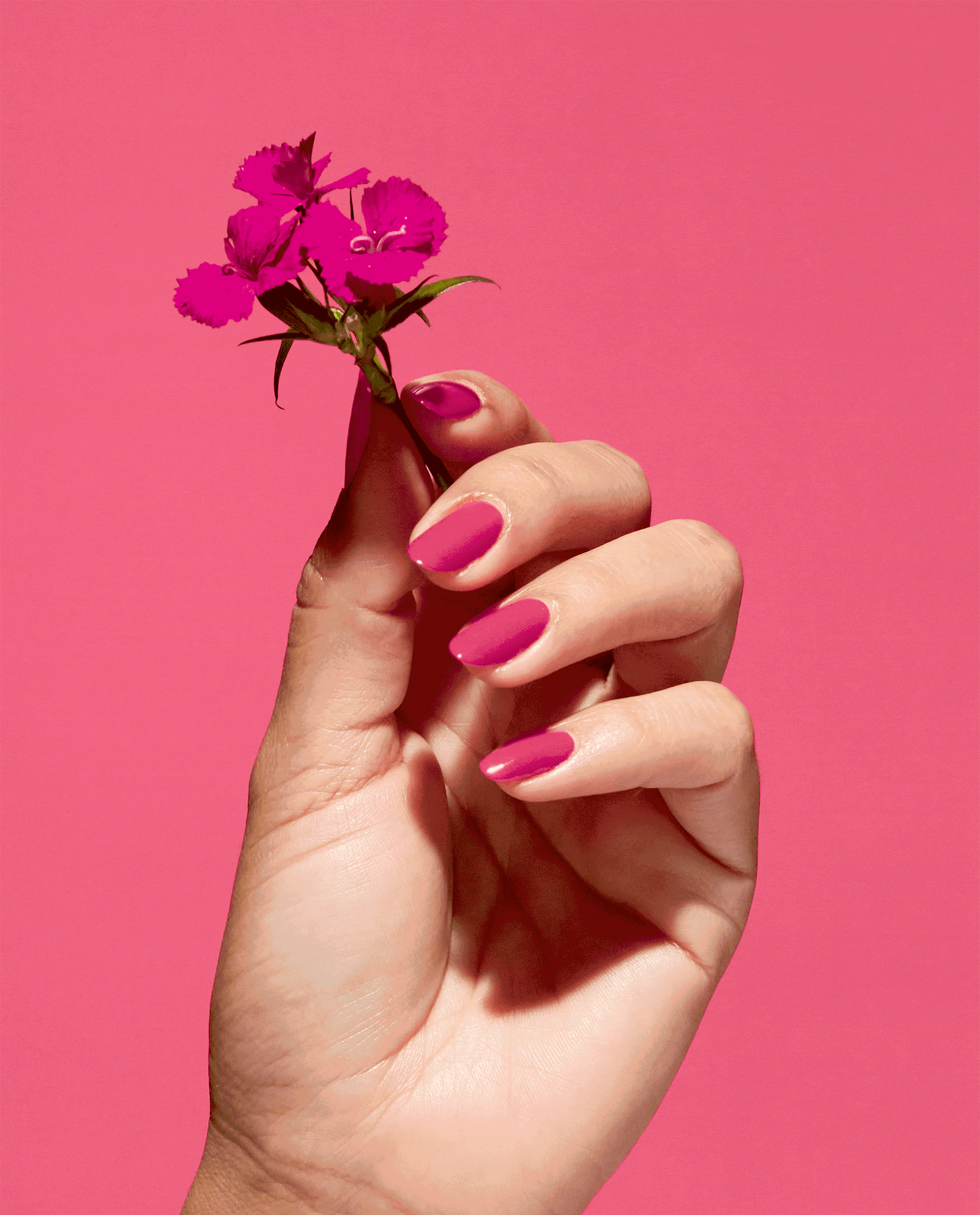 A Kick in the Bud Nature Strong Vegan Nail Lacquer by OPI coats glossy fuchsia nails as a hand holds a small pink flower, highlighting vibrant spring nail colors and spring nail trends against a matching pink backdrop.