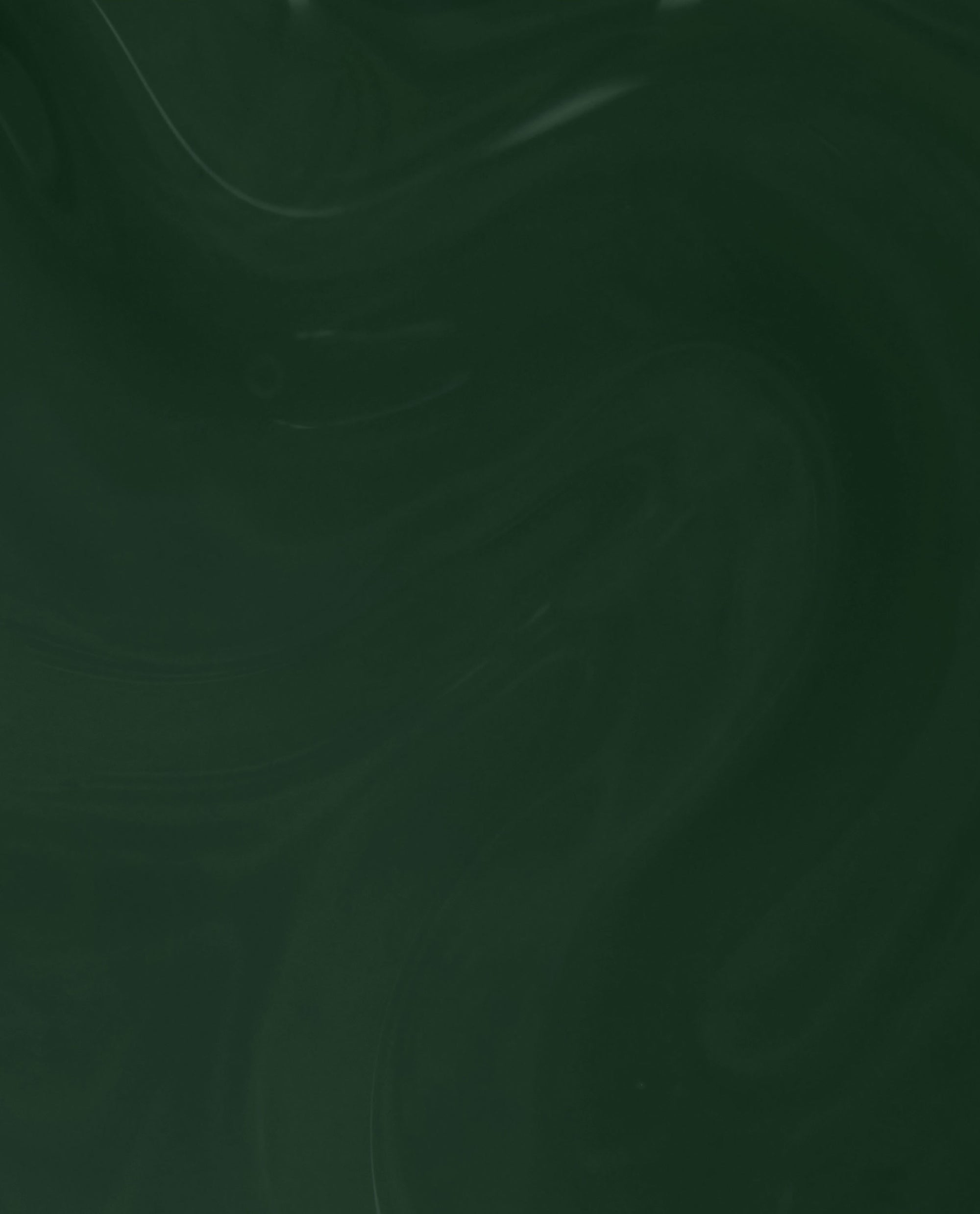 Garden My French Green At-home Gel Nail Polish Brush Swatch