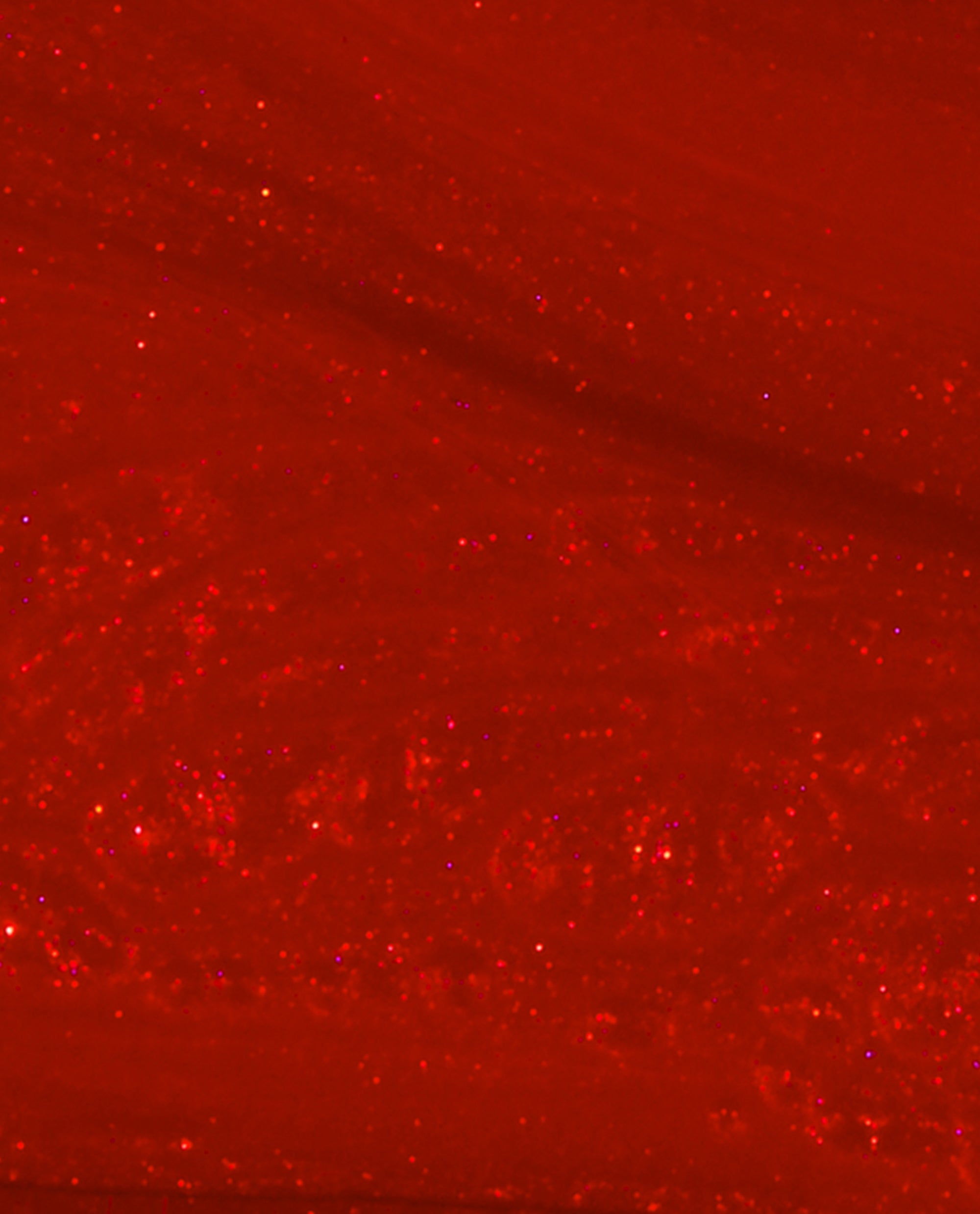 OPI Gimme a Lido Kiss Red Nail Polish Brush Swatch