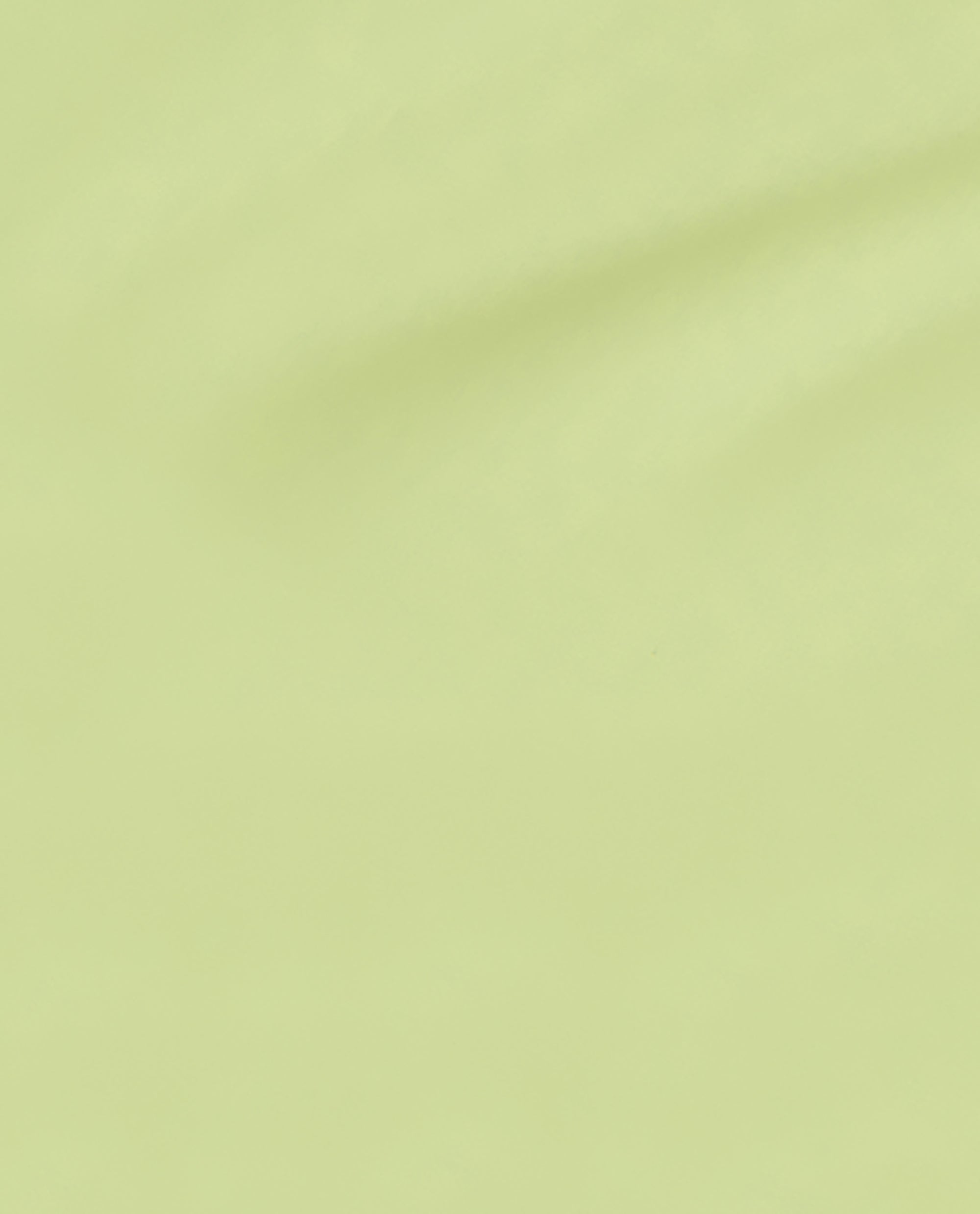 OPI The Pass is Always Greener Green Nail Polish Brush Swatch